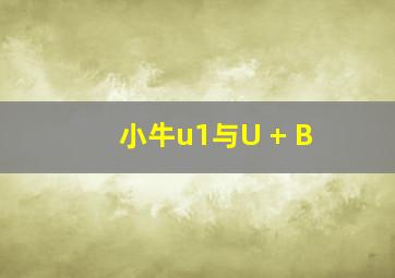 小牛u1与U + B